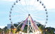 Giant Ferris Wheel - Hello Hi Lite Amusements - thumb 0