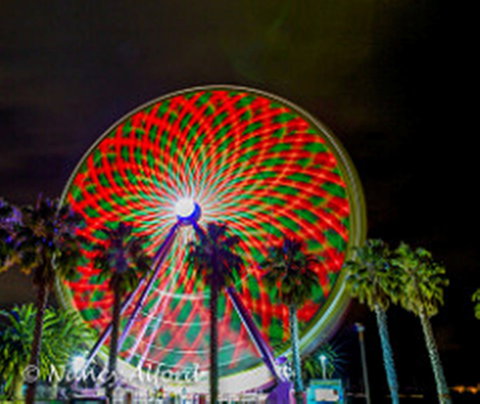Giant Ferris Wheel - Hello Hi Lite Amusements - Holiday Sunshine Coast 1