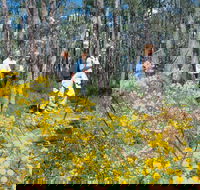 Gidgegannup - Sunshine Coast Tourism