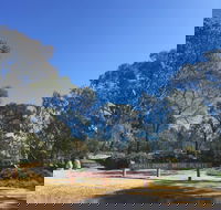 Grenfell Endemic Garden - Holiday Sunshine Coast