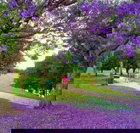 Howe Park - Holiday Sunshine Coast