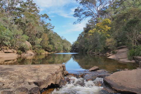 Ingleburn Reserve - Sunshine Coast Tourism 0
