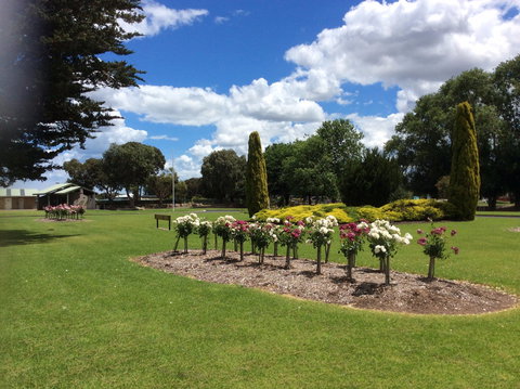 Jubilee Park - Holiday Sunshine Coast 1