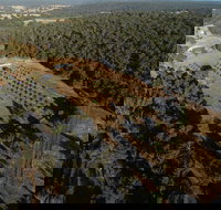 Julimar Date Garden - Sunshine Coast Tourism