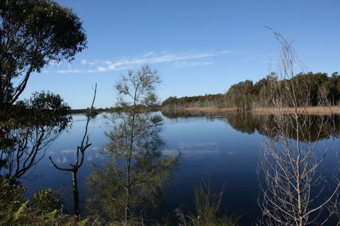 Kayaking Corunna Lake - Holiday Sunshine Coast 0