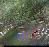 Kerewong State Forest - Sunshine Coast Tourism