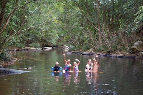 Kerewong State Forest - Sunshine Coast Tourism 0