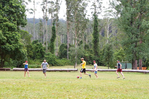 Kerewong State Forest - Sunshine Coast Tourism 1