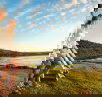 Killalea Reserve - Holiday Sunshine Coast