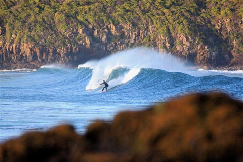 Killalea Reserve - Holiday Sunshine Coast 1