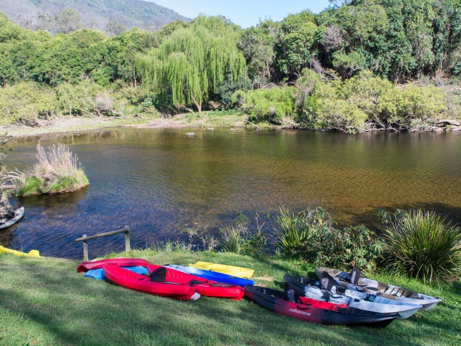 Knorrit Forest NSW Holiday Sunshine Coast