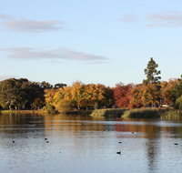 Lake Weeroona - Sunshine Coast Tourism