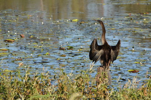 Lake Apex Park - Holiday Sunshine Coast 0
