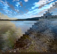 Lake Innes Nature Reserve - Sunshine Coast Tourism