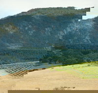 Langi Ghiran State Park - Sunshine Coast Tourism