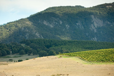 Langi Ghiran State Park - Sunshine Coast Tourism 0