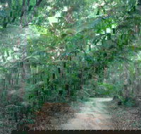 Lawn Hill - Sunshine Coast Tourism