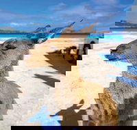 Lucky Bay - Holiday Sunshine Coast