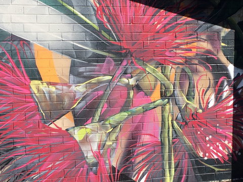 Mokoan Rest Stop Northbound - Sunshine Coast Tourism 0