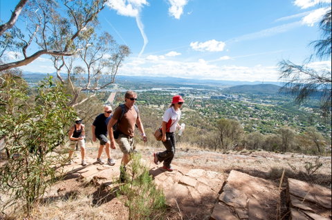 Mount Ainslie Lookout - Sunshine Coast Tourism 0