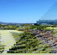 Mt Lindsay Rotary Park - Sunshine Coast Tourism