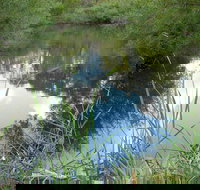 Mullion Range State Conservation Area - Sunshine Coast Tourism