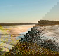 Narrawallee Creek Nature Reserve - Holiday Sunshine Coast