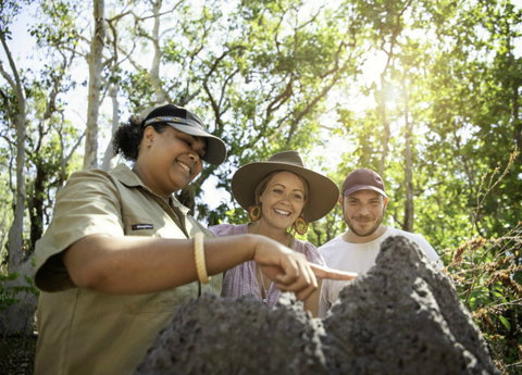 Natures Way - Holiday Sunshine Coast 1