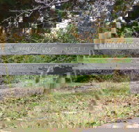 Nimmitabel Heritage Walk - Sunshine Coast Tourism