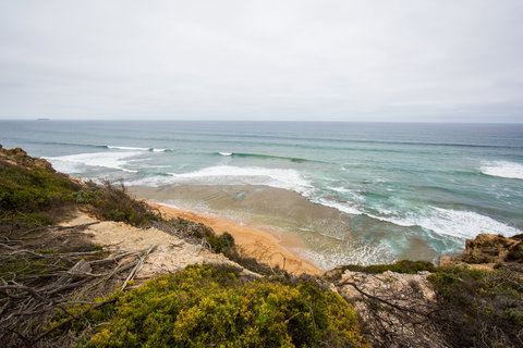 Ocean Grove Main Beach - Sunshine Coast Tourism 1