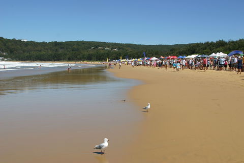 Ocean Beach Umina - Sunshine Coast Tourism 0