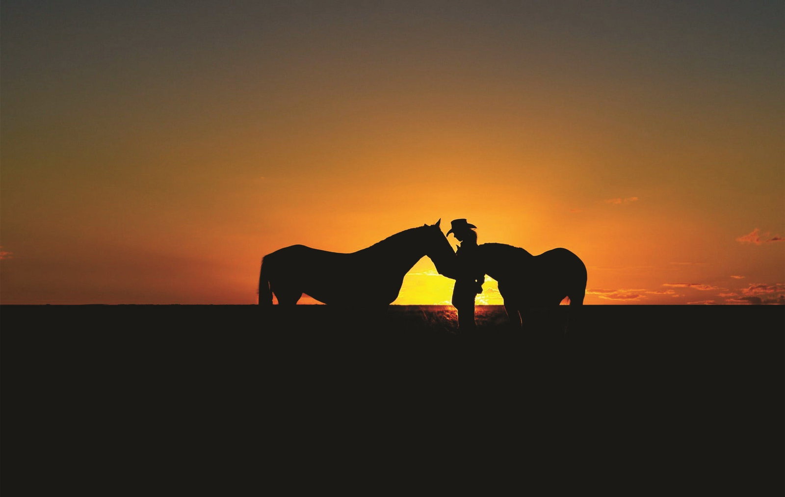  Holiday Sunshine Coast