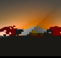 Outback Pony Rides Farm Experience - Holiday Sunshine Coast