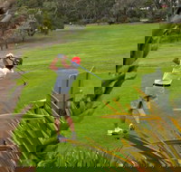 Pambula Merimbula Golf Club - Sunshine Coast Tourism