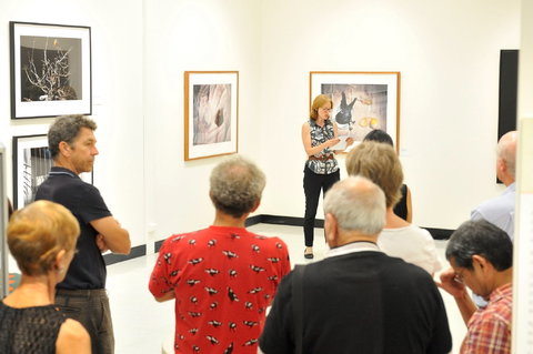 Pine Rivers Art Gallery - Sunshine Coast Tourism 1