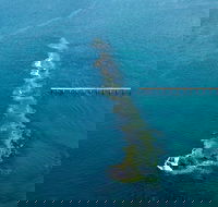 Port Noarlunga Reef Sanctuary Zone - Encounter Marine Park - Sunshine Coast Tourism