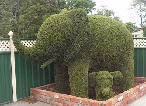Railton: Town Of Topiary - Sunshine Coast Tourism 0