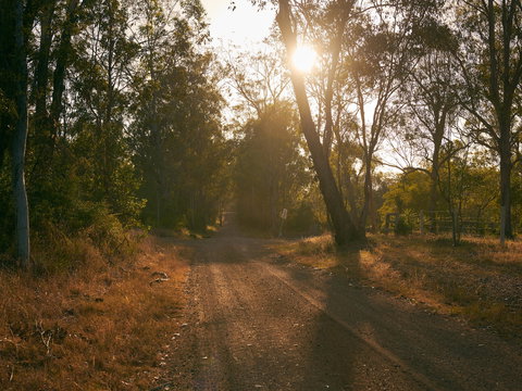 Raysource Road - Sunshine Coast Tourism 1