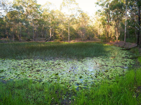 Raysource Road - Sunshine Coast Tourism 2