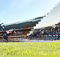 Rosehill Gardens Racecourse - Holiday Sunshine Coast
