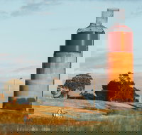 Rutherglen Wine Bottle - Sunshine Coast Tourism