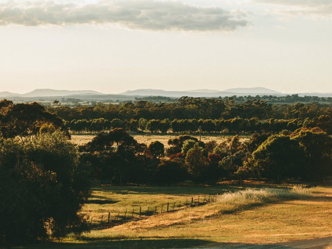 Rutherglen Wine Bottle - Holiday Sunshine Coast 2