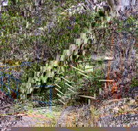 Sawpit Walking Track - Holiday Sunshine Coast