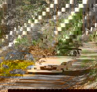 Scotsdale Tourist Drive - Sunshine Coast Tourism