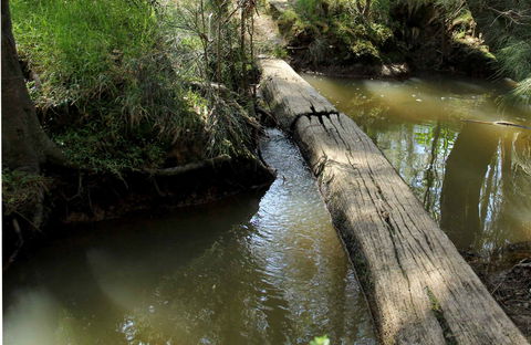 Second Ponds Creek Walk - Sunshine Coast Tourism 0