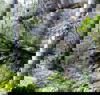 She-Oak Crossing Walk - Sunshine Coast Tourism