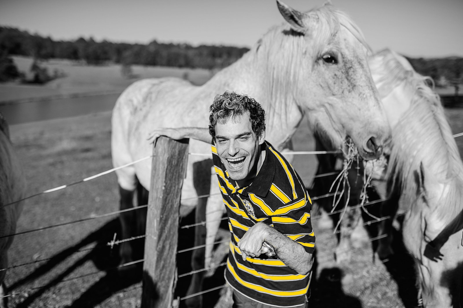 Weston NSW Sunshine Coast Tourism