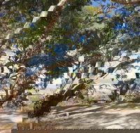 Spring Gully Conservation Park - Sunshine Coast Tourism