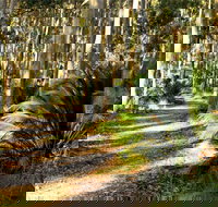 Square Head Track 2 - Sunshine Coast Tourism