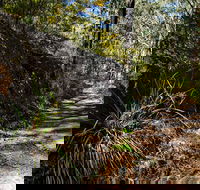 Starlights Trail - Holiday Sunshine Coast